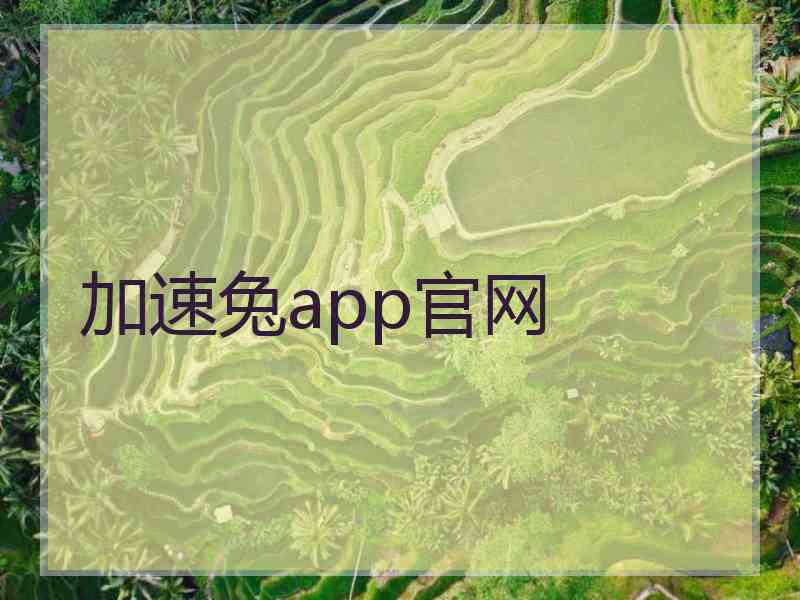 加速兔app官网