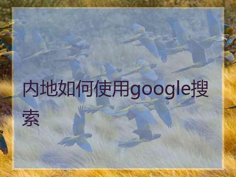 内地如何使用google搜索